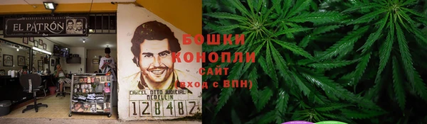 PSILOCYBIN Гусь-Хрустальный