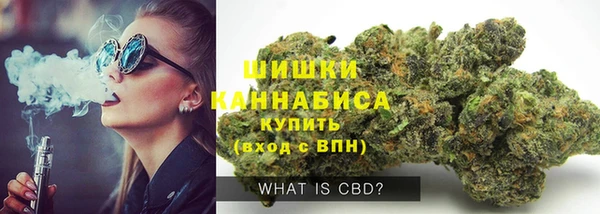 PSILOCYBIN Гусь-Хрустальный