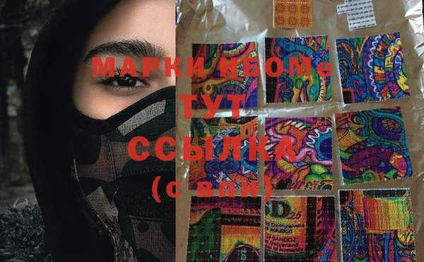 PSILOCYBIN Гусь-Хрустальный